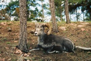 More wildlife along the way to camp