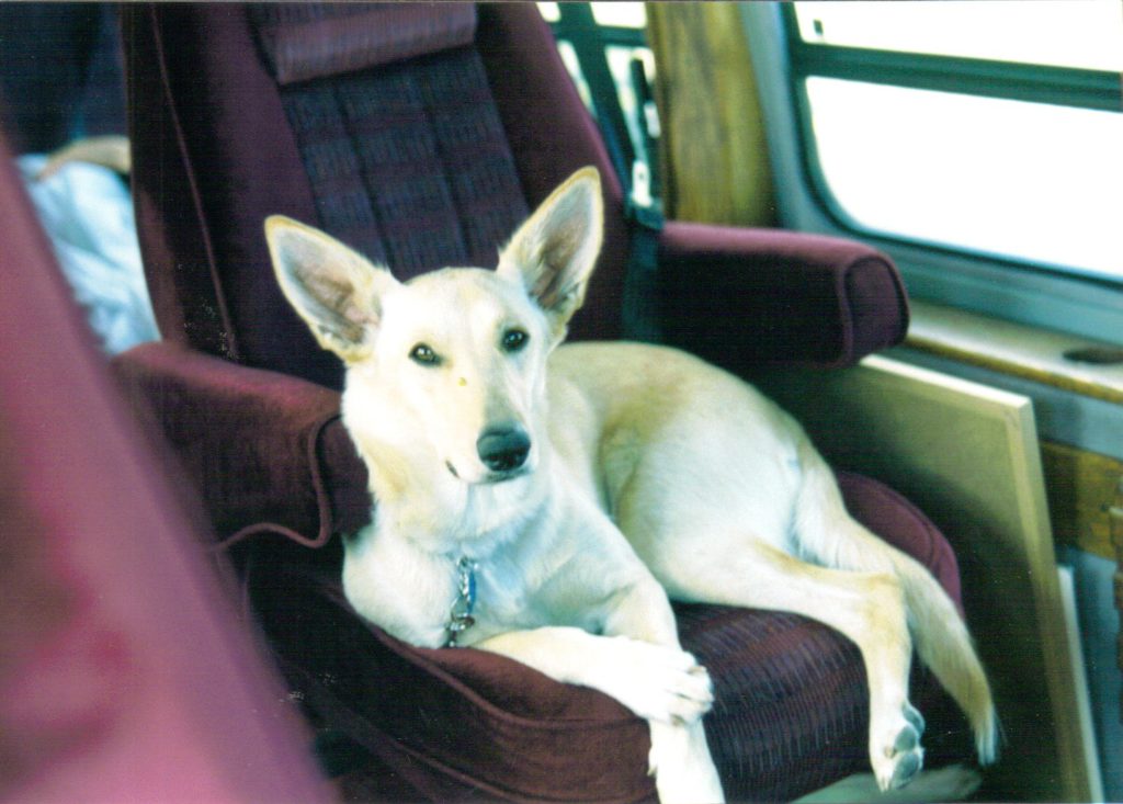 Shana waiting in the Van