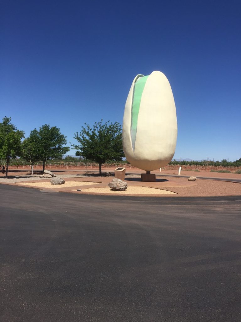 Giant Pistachio