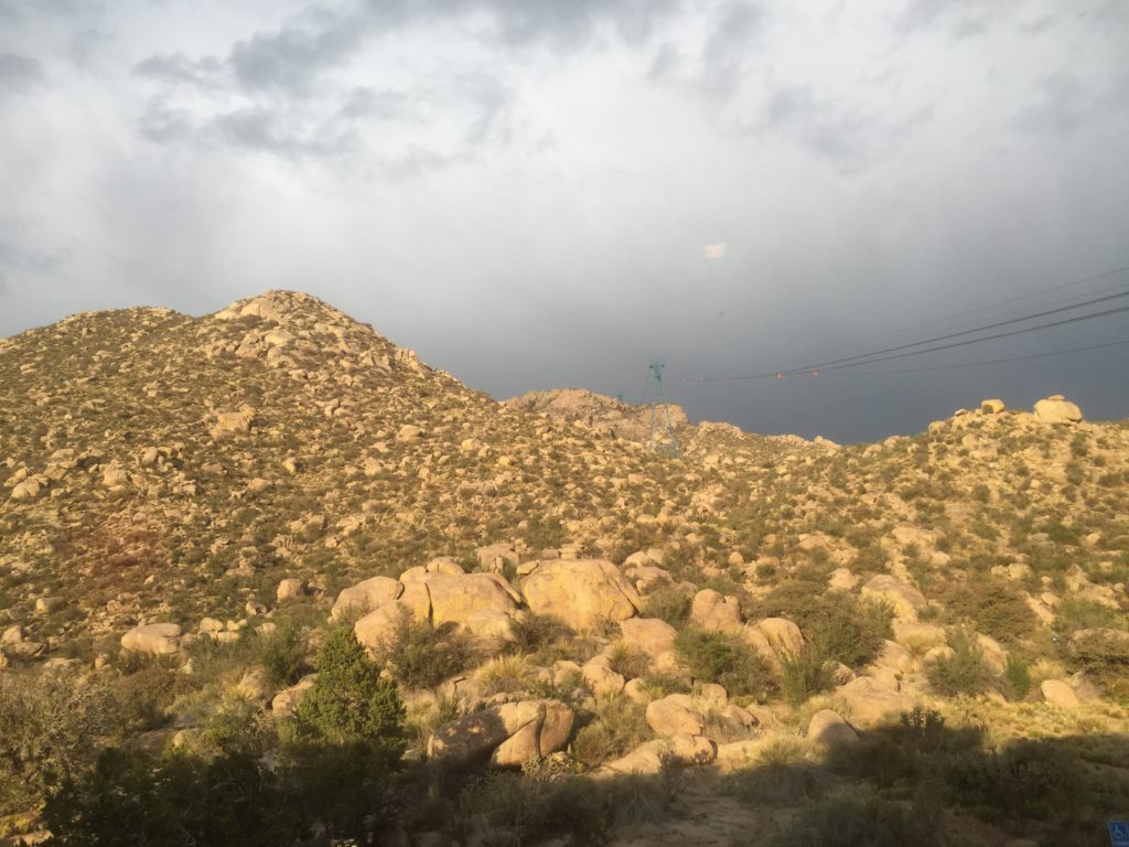 The cables of Sandia Peak Tramway