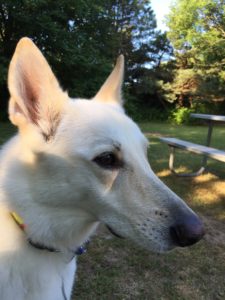 Hannah County Campground