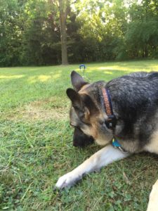 Kendra County Campground