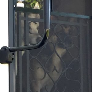 Hannah and Kendra at the Trailer door. Travel Trailer