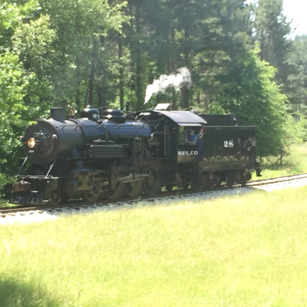 The Steam Train Turning around to take us back to the Depot in Rusk.