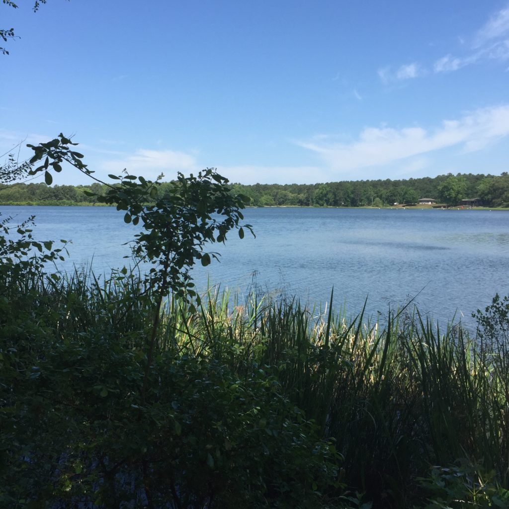 The Lake at Tyler State Park
