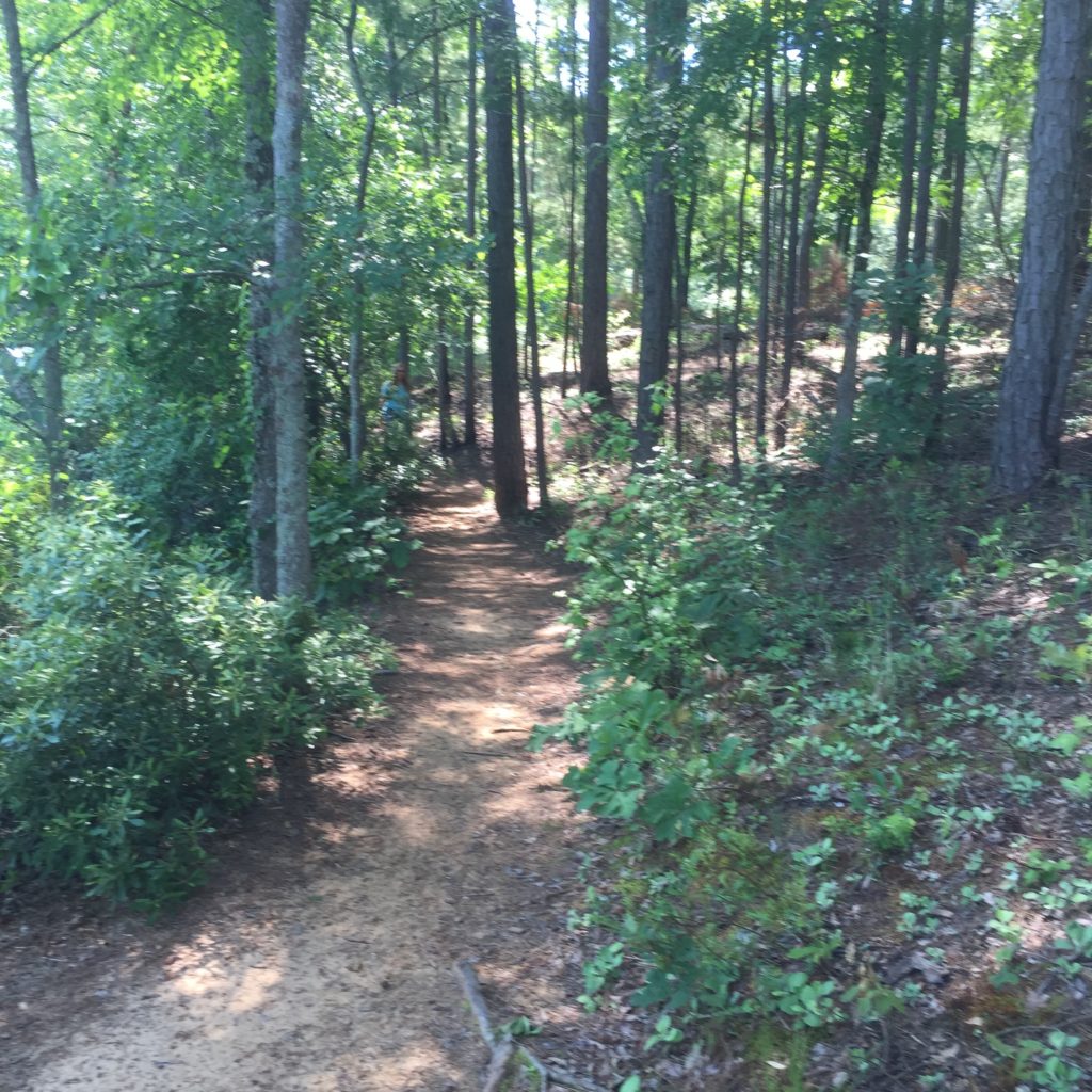 The trail around the lake at Tyler State Park