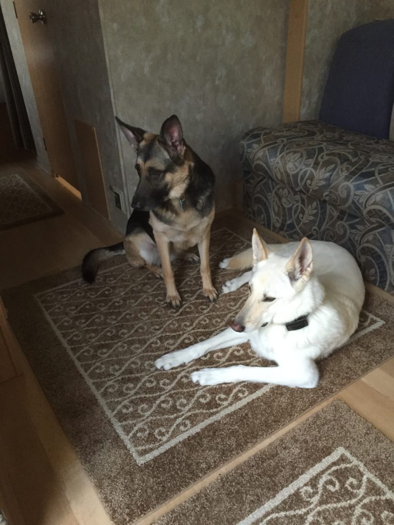 Hannah and Kendra ponder whats outside the travel trailer in San Antonio Texas, 2014
