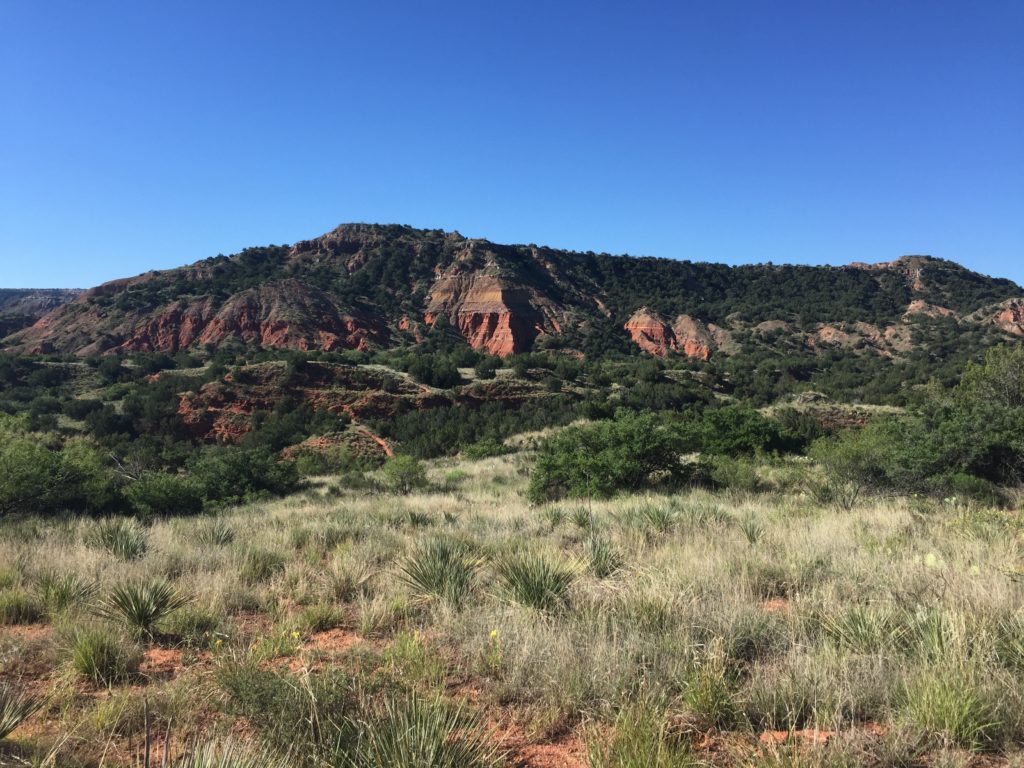 Prairie meets the Canyon Wall in Palo Duro