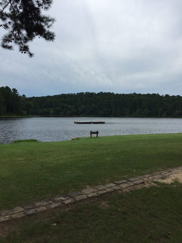 The Beach and Swim Platform