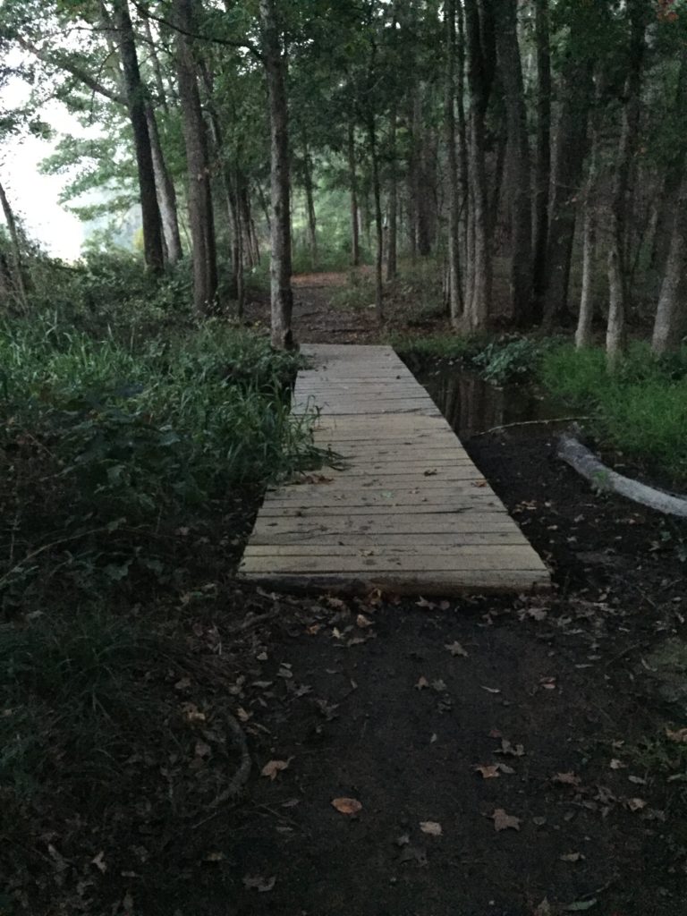 The Trail around the lake