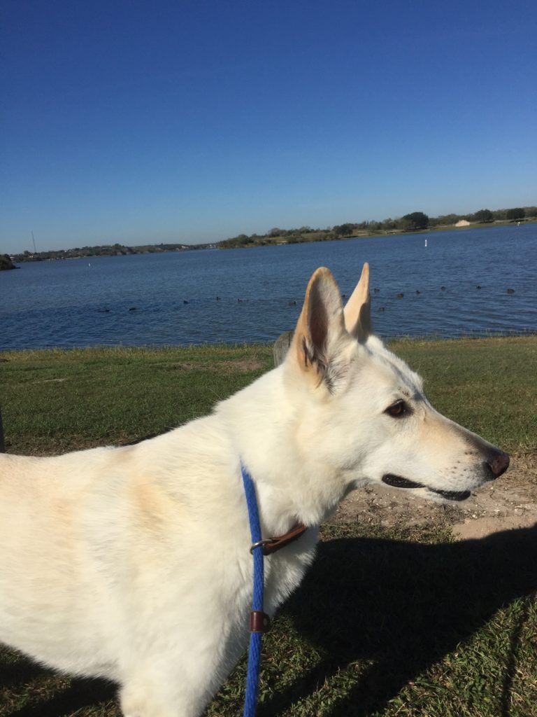 Hannah at Lake Corus Christie State Park