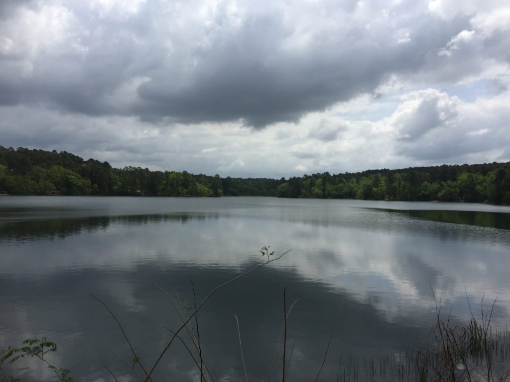 The lake at Tyler State Park The lake at Tyler State Park