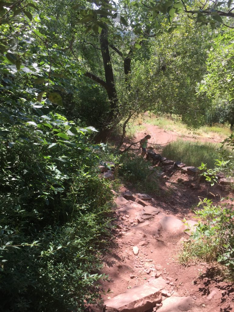 Red Rock Trail Looking Down at Tammy Red Rock Trail Looking Down at Tammy
