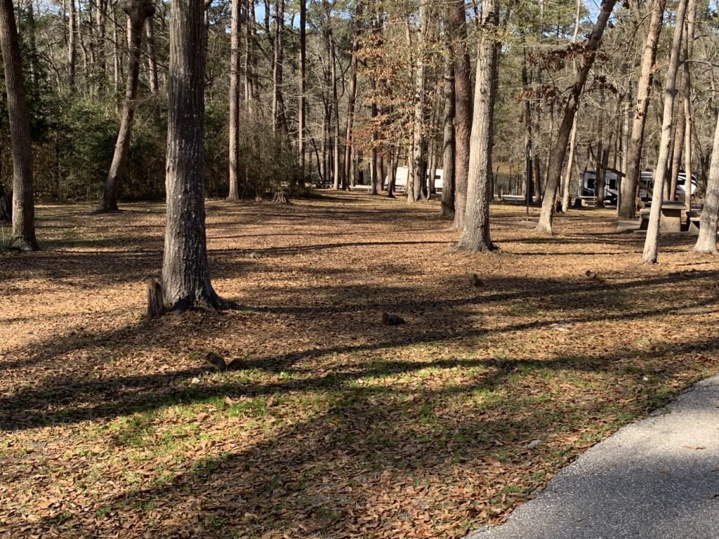 Huntsville Texas State Park