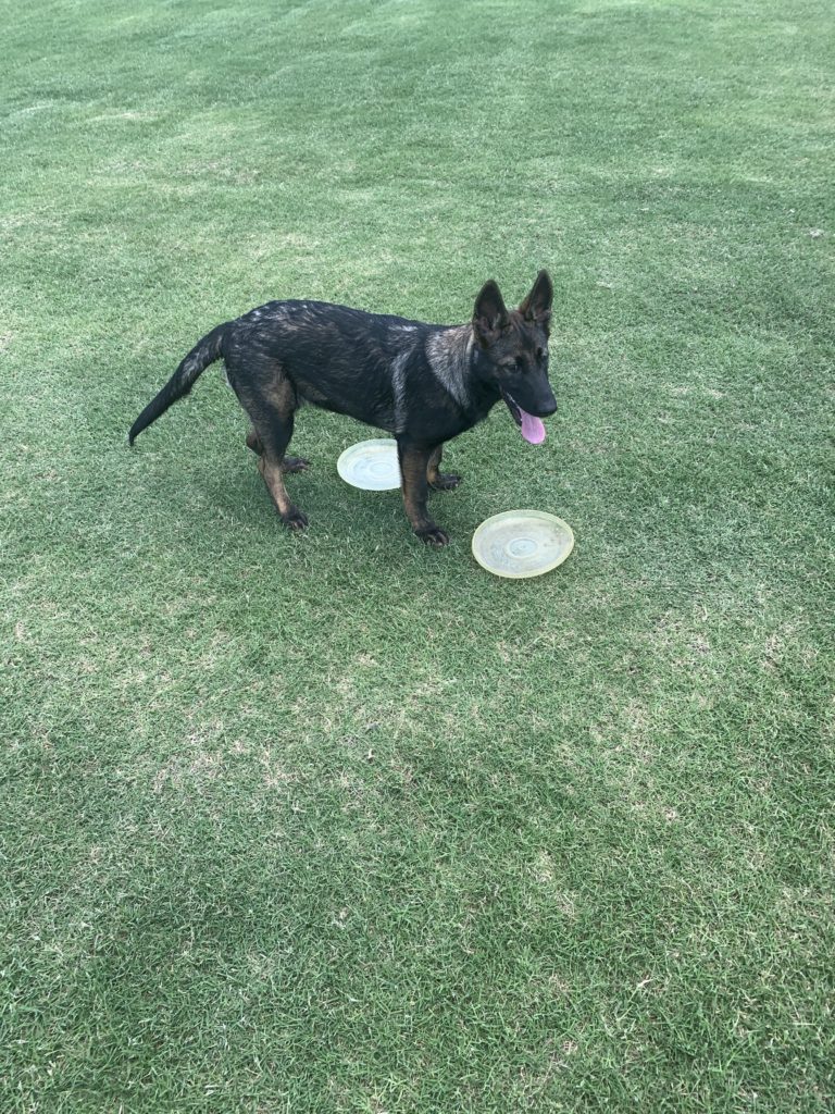 Eva Grace at 18 weeks