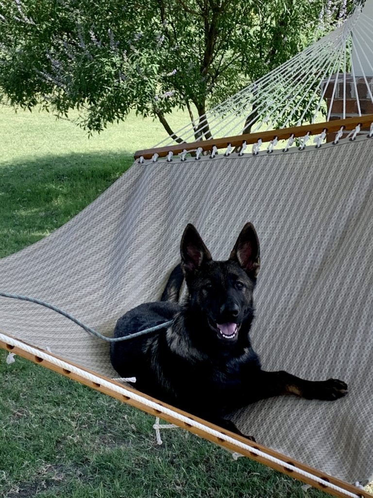 Eva Grace - Not so tiny anymore!