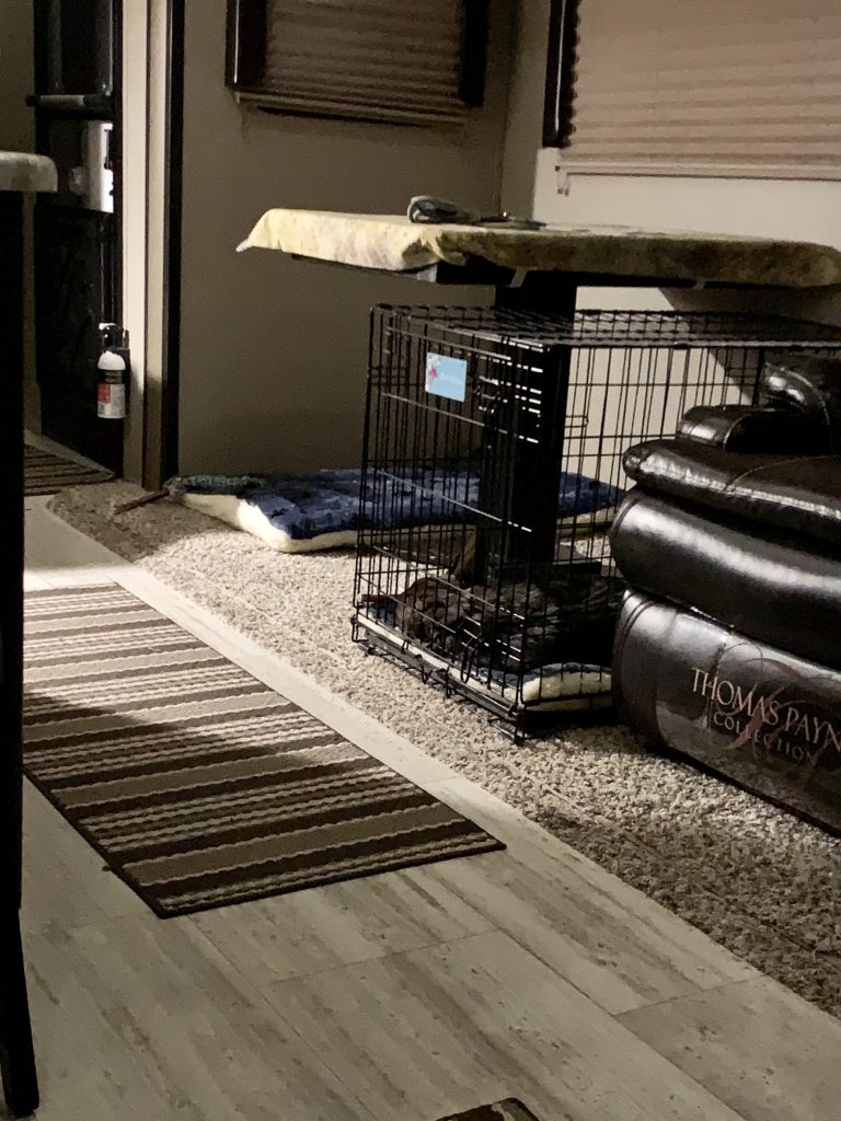 Time to get out of your crate Eva!