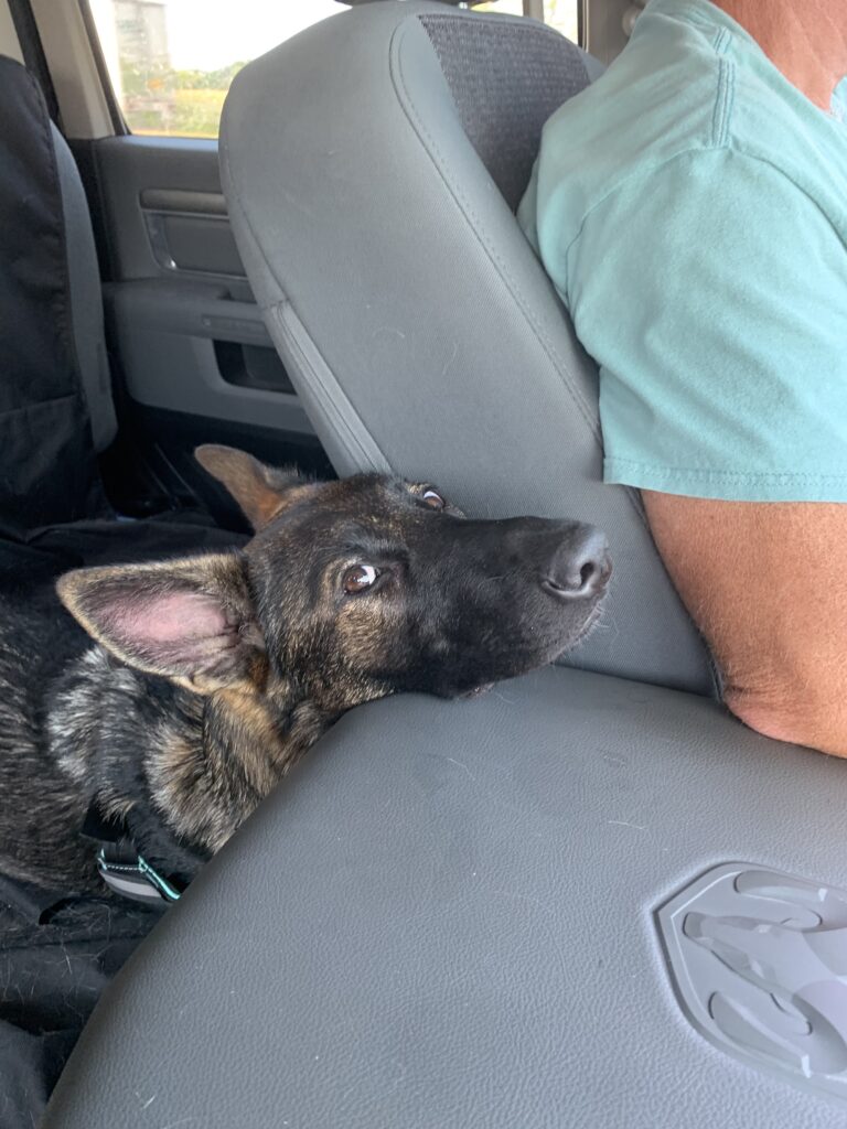 Eva strapped in for our Wisconsin trip