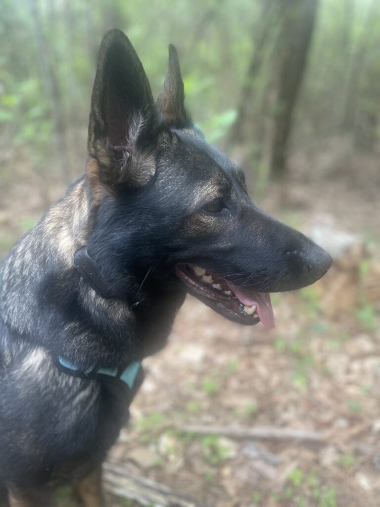 Spring Rains and Eva