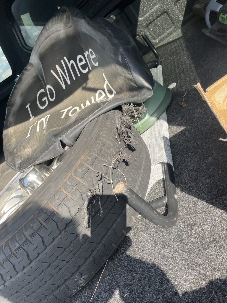 Endurance travel trailer tires